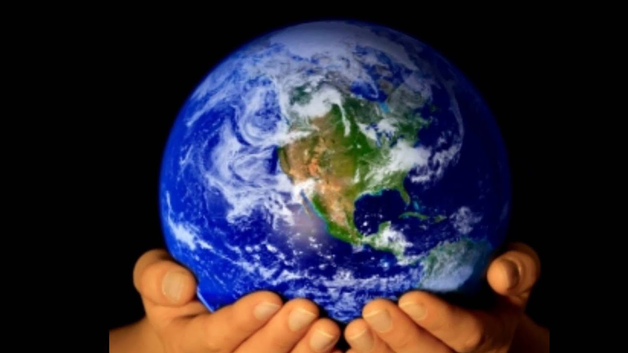 Curso de Conservación y Recuperación de la Fauna