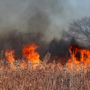 vigilancia y extinción de incendios forestales