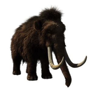 ¿Resucitar a los mamuts para salvar el planeta?