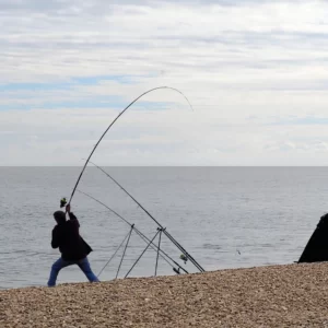 Cualificación Profesional: Pesca local (MAP231_2)