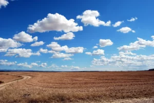 Pérdidas en la agricultura valenciana