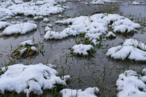 Alaska y el “icemageddon”