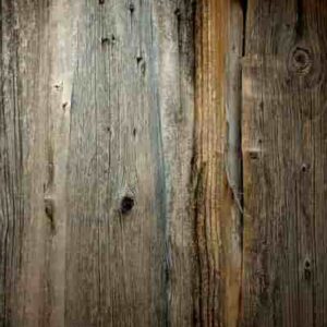 Control de organismos