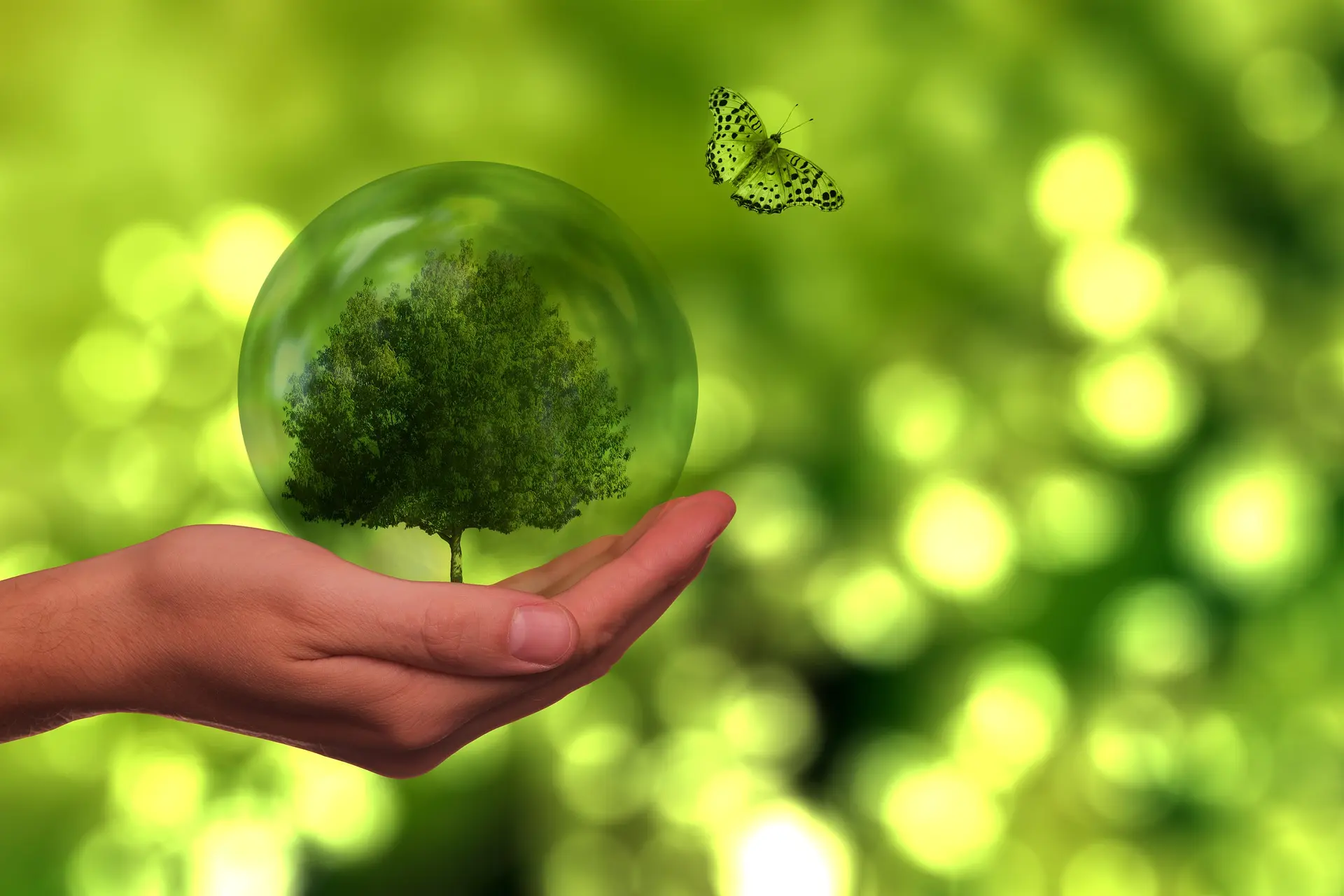 España no alcanza la meta verde europea