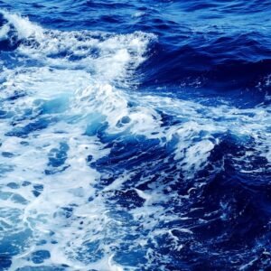 Aprende a realizar rescates efectivos en situaciones de emergencia durante la conducción en el medio fluvial con este curso especializado.