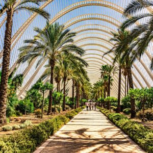 Cualificación Profesional: Cultivo y trabajos en palmeras (AGA780_2)