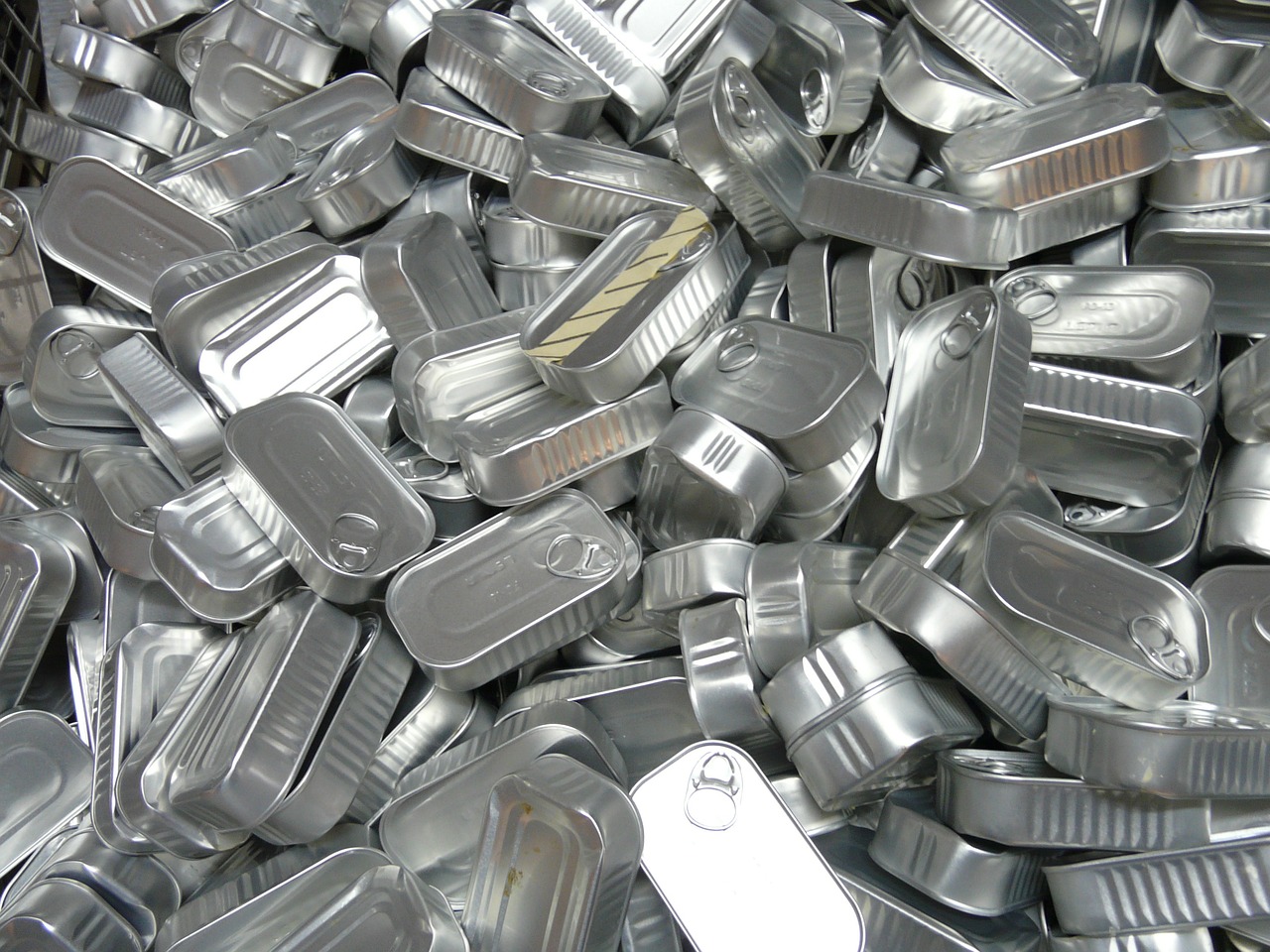 Producción de conservas de pescado a nivel industrial