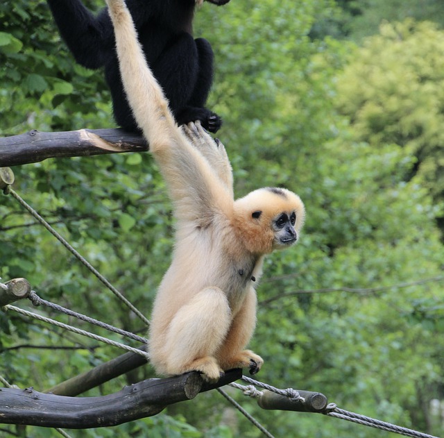 Especialización en analítica de las causas de desaparición