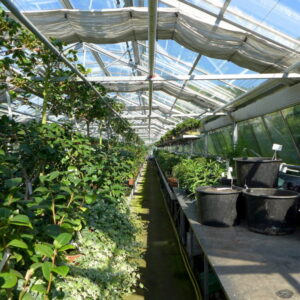 Cualificación Profesional: Producción de semillas y plantas en vivero (AGA460_2)