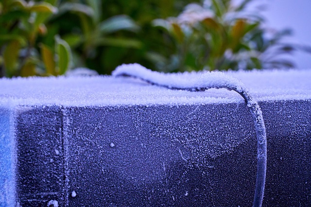 especialización en mantenimiento de instalaciones frigoríficas